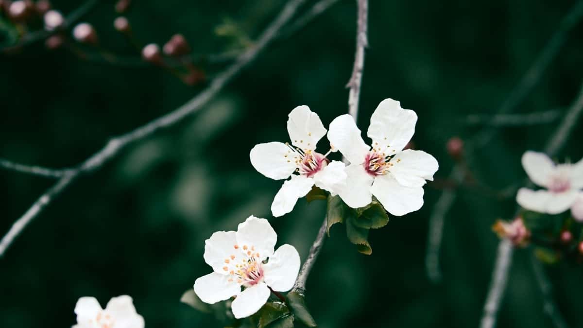 Top 10 Instagram Influencers Du Bør Samarbeide Med i Saudi Arabia