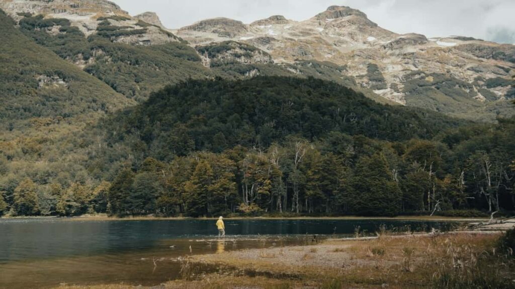 2025 Switzerland Twitter reklamepriser for annonsører i Norway