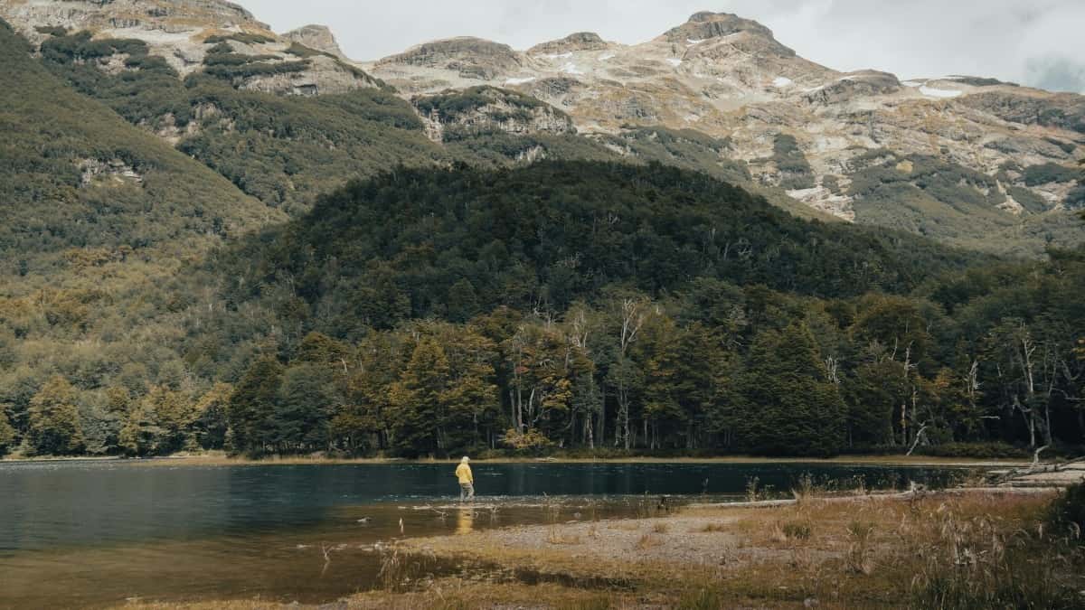 2025 Switzerland Twitter reklamepriser for annonsører i Norway