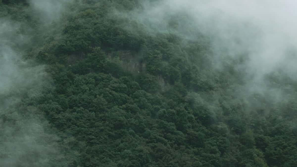 Norwegian creators: Reach Swiss brands on Xiaohongshu