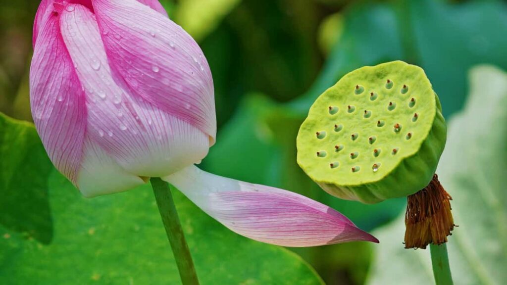 Praktisk guide for norske annonsrer: hvordan identifisere, vurdere og samarbeide med ArgentinaLine skapere for esportskampanjer. Lokale taktikker, plattformer og casetips.