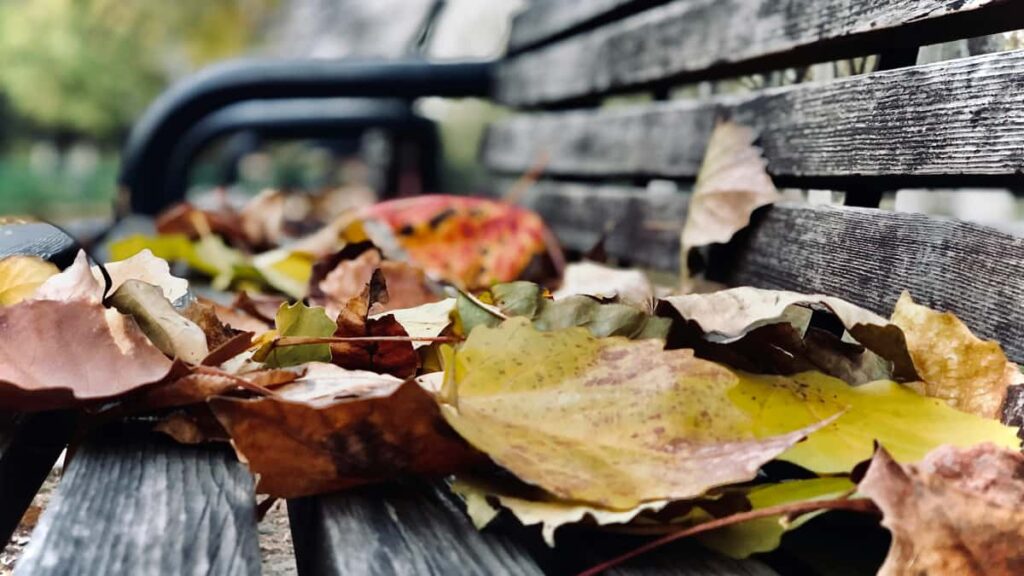 Praktisk guide for norske annonsrer som vil finne og jobbe med Mojskapere i SrKorea ved mobilspillslanseringer.