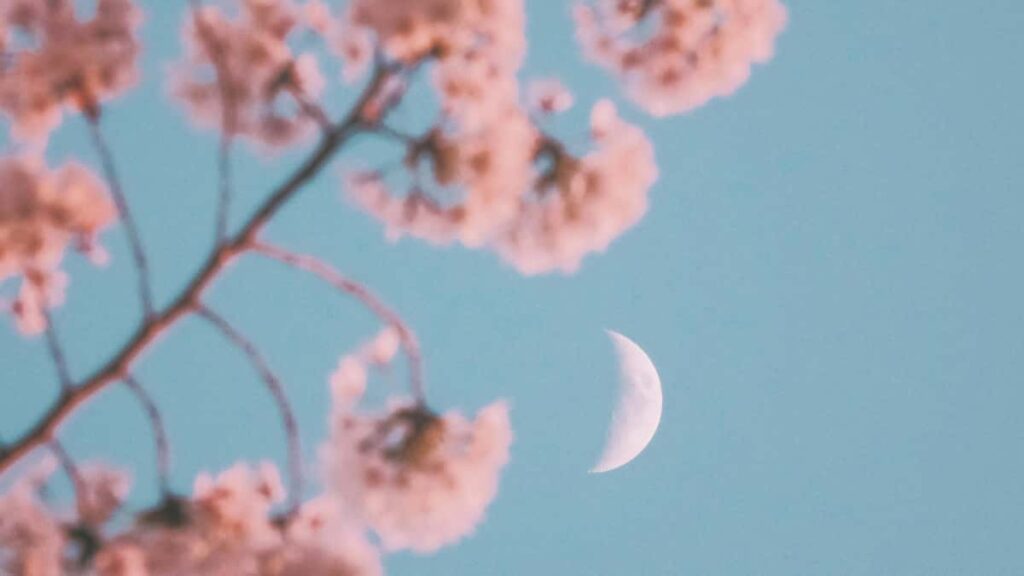 Praktisk guide for norske skapere som vil kontakte bulgarske merker pa Snapchat og lande GRWM-samarbeid taktikker, verkty, risksjekk og et steg-for-steg outreach-oppsett.