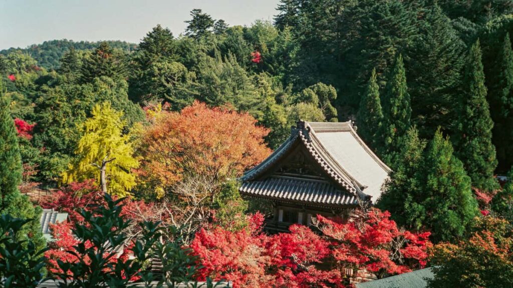 Praktisk guide for norske annonsrer: hvordan identifisere, kontakte og teste produktkonsepter med kambodsjanske Clubhouse-skaperne.