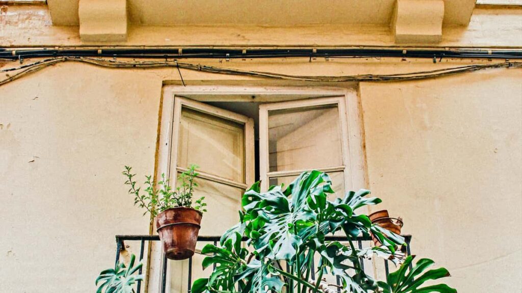 Praktisk guide for norske skapere: hvordan finne, kontakte og samarbeide med georgiske merker pa Viber for skreddersydde reiseguider.