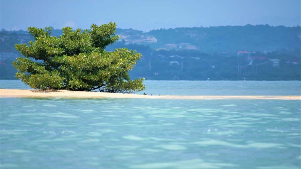 Praktisk guide for norske skapere som vil kontakte kypriotiske merker pa Takatak og bygge launch-hype. Lokale taktikker, outreach-maler, annonsetips og risiko.