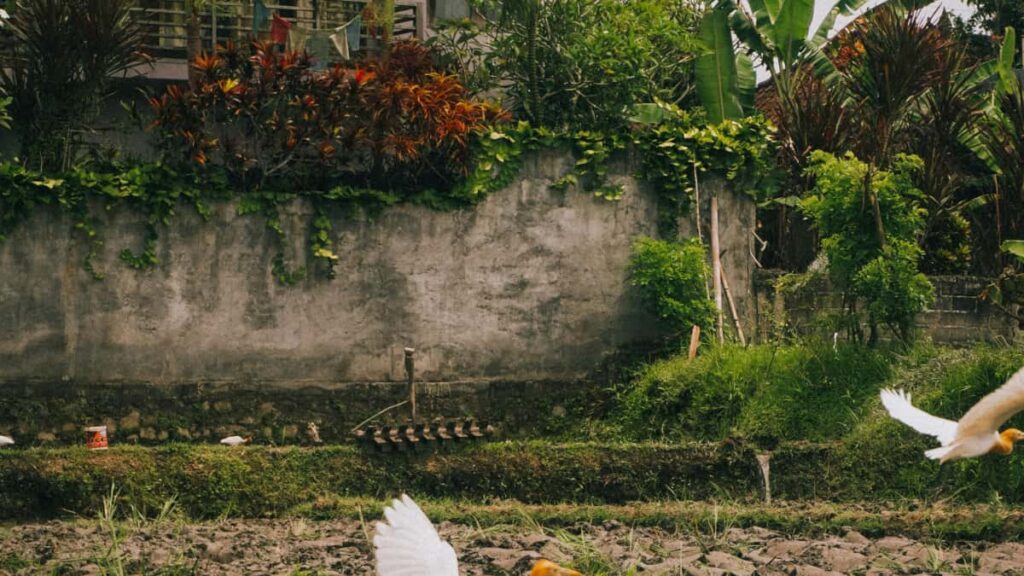 Praktisk guide for norske skapere som vil kontakte tsjekkiske Etsy-merker, bygge samarbeid og tjene pa innholdskanaler konkrete taktikker, verkty og lokale tips.