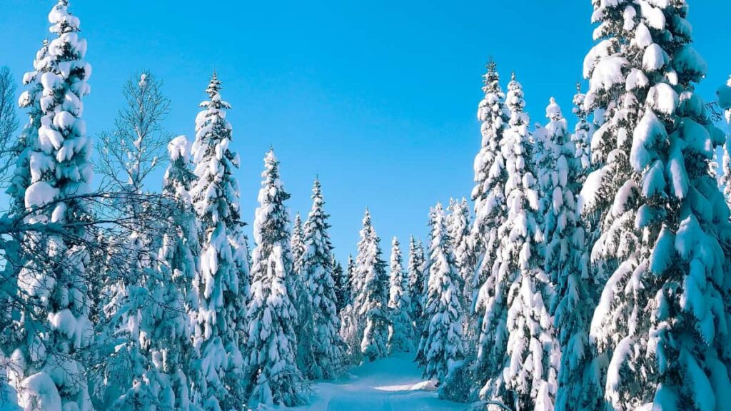 Praktisk guide for norske skapere som vil kontakte portugisiske merker via Rumble for unboxing-videoer. Step-by-step outreach, lokale taktikker og konkrete verkty.