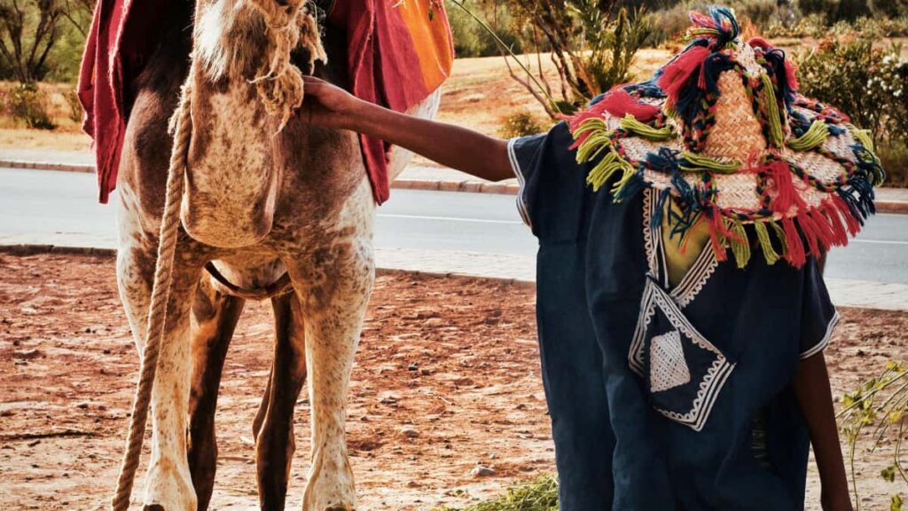 Praktisk guide for norske skapere som vil kontakte tunisiske merker pa Bilibili og samarbeide med turistkontorer.