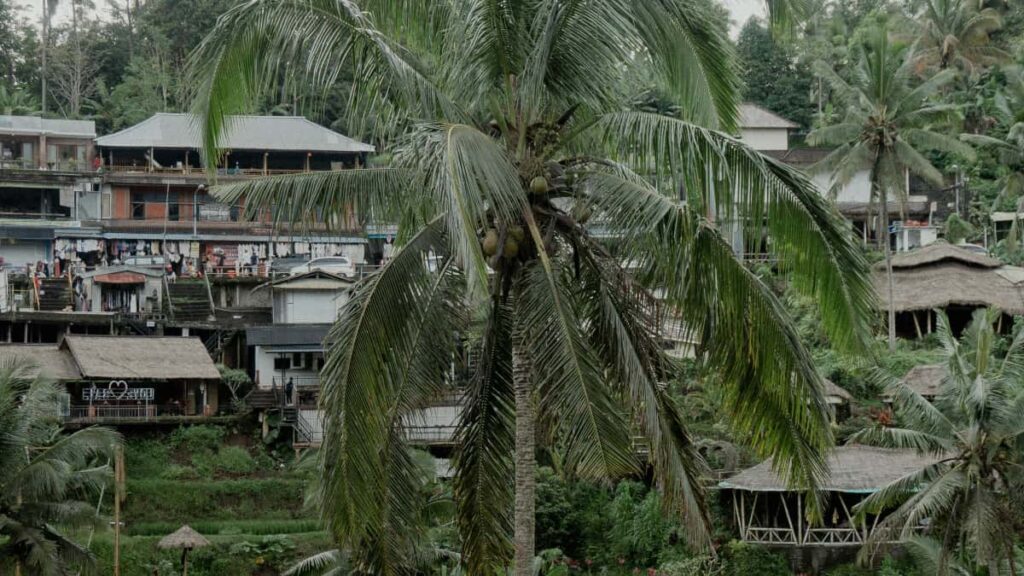 Praktisk guide for norske annonsrer: hvordan identifisere, na og aktivere armenske Discord-skapere for global produktoppmerksomhet.