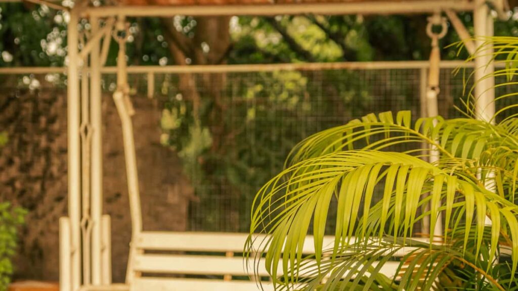 Praktisk guide for norske annonsrer: hvordan identifisere, kontakte og lansere creator-led fitnesschallenges med serbiske Chingariskapere.