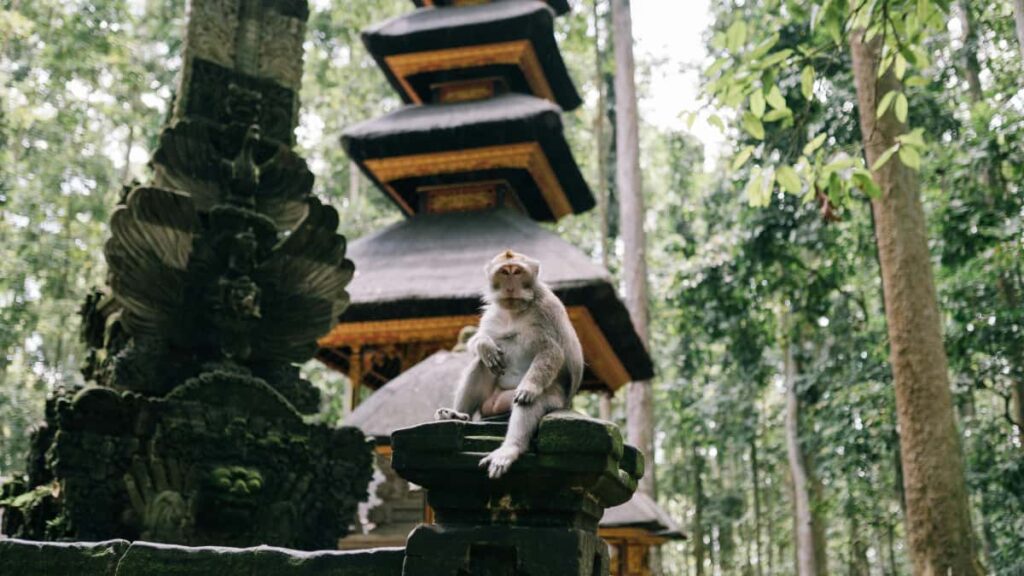 Praktisk guide for norske skapere: hvordan kontakte estiske merker pa Line for kt eksponering og vinn-vinn-samarbeid.