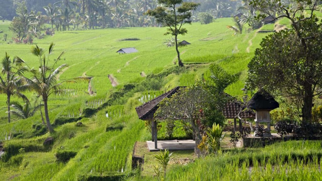 Praktisk guide for norske skapere: hvordan finne og kontakte Elfenbenskystens merker pa Telegram for unboxing og PR-anmeldelser.