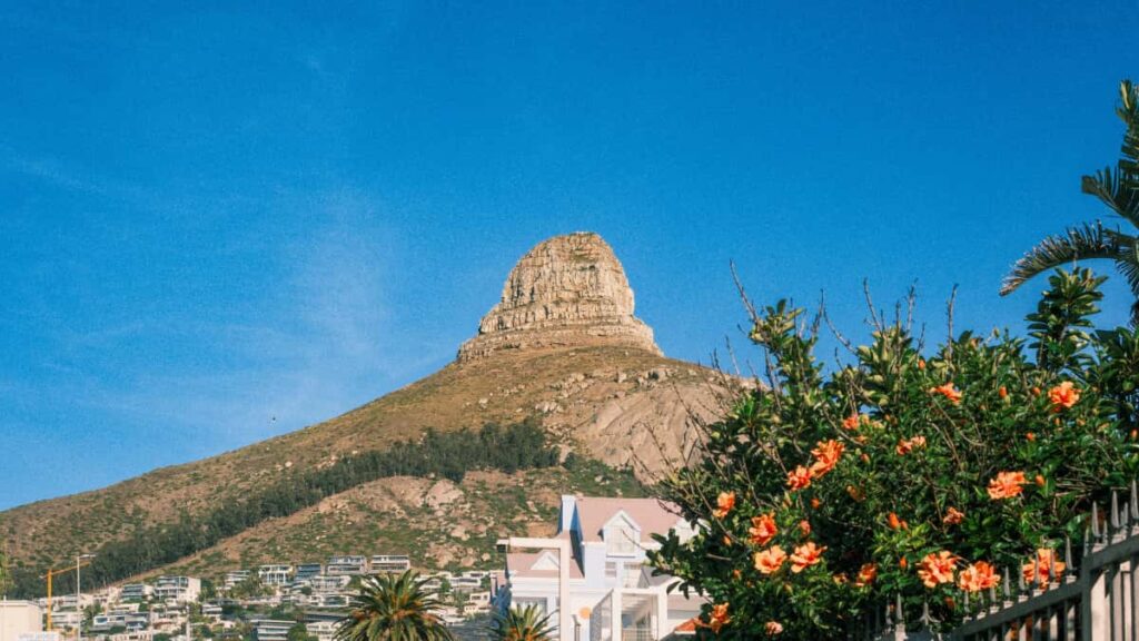 Praktisk guide for norske skapere: hvordan kontakte bosniske merker pa TikTok, lage troverdige testimonial-videoer og lande samarbeid i 2025.