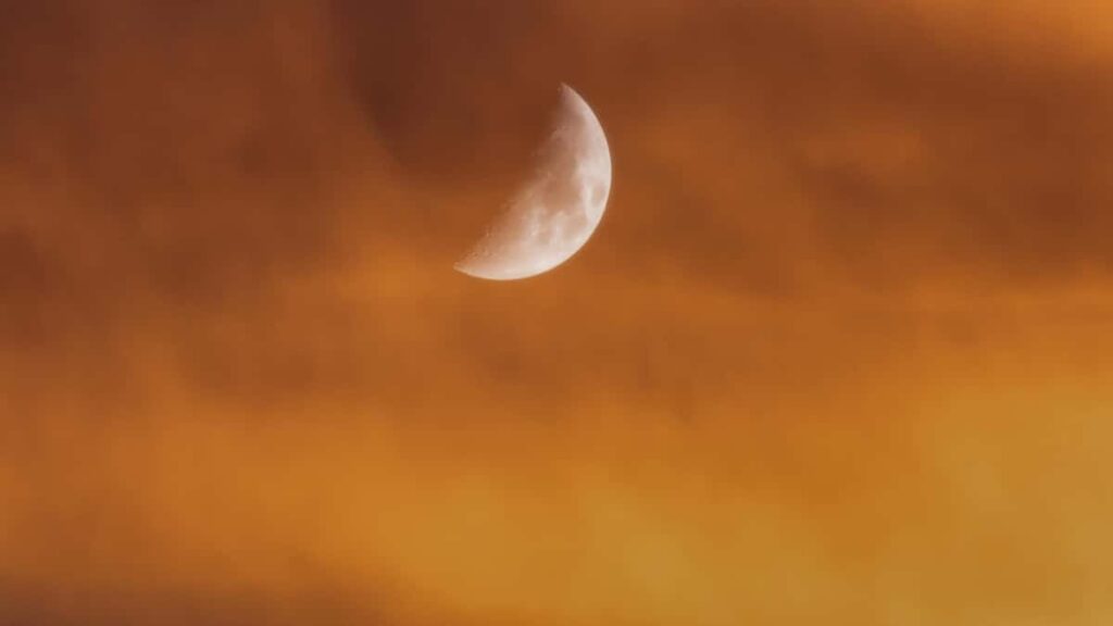 Praktisk guide for norske skapere: hvordan kontakte brasilianske merker pa Shopee, pitche helsevaner og fa samarbeid som engasjerer flgere i 2025.