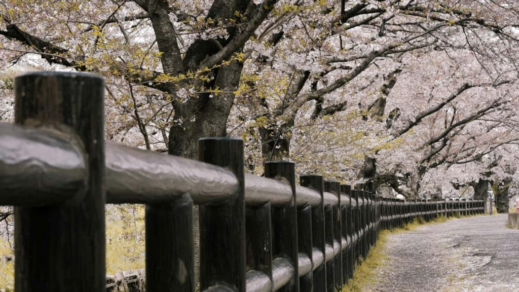 Praktisk guide for norske skapere: hvordan kontakte sr-afrikanske merker pa SoundCloud og bygge branded tutorials som funker.