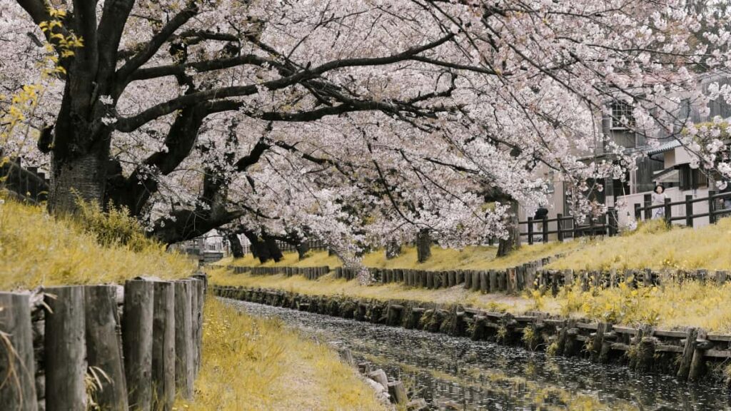 Praktisk guide for norske skapere som vil na United Arab Emiratesmerker pa Twitch taktikk, pitchmaler og feil a unnga.