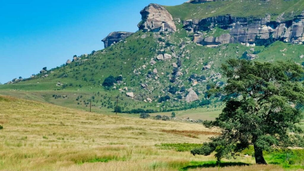 Praktisk guide for norske skapere som vil kontakte Panama-merker pa Taobao og lande flat-rate samarbeidsavtaler. Tips, verkty og lokale taktikker.