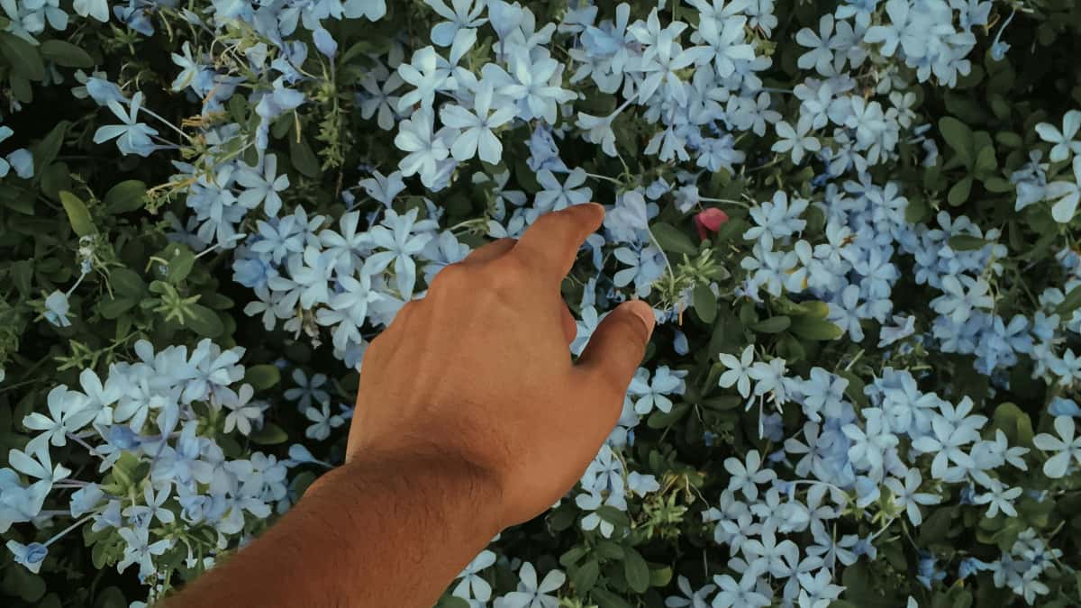 Kreatører: Nå kroatiske merkevarer på HBO Max – få UGC-avtaler