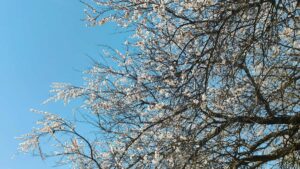 Praktisk guide for norske YouTubere: hvordan finne, kontakte og cocreate med latviske merker fra pitch til bundlelansering.